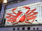 Vĝɓy ږx {X̓eʐ^1