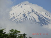 higekuma50̈uΔȗΒn̓eʐ^3