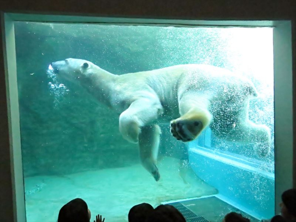 静岡市立日本平動物園