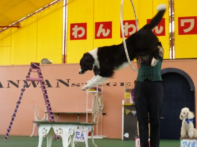 �����V���[�̗ւ�����_���΂���񃉃��h