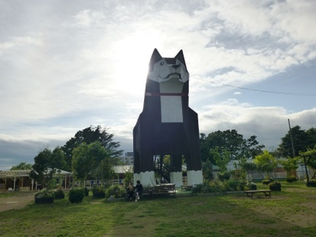 ��������_���΂���񃉃��h