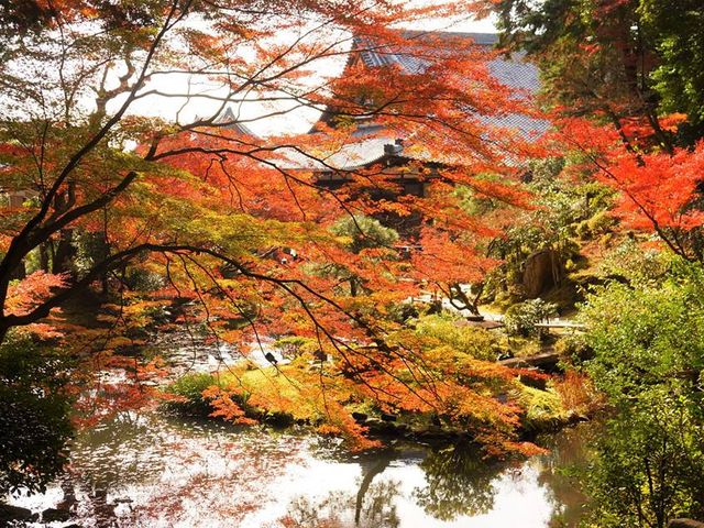 �r�̎��肪�Y��_����������