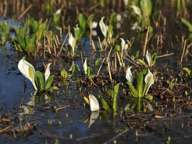 ���m��_���������i������r�j