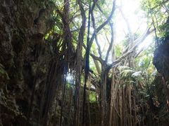 񂳂̃KK[̒Jւ̓eʐ^1