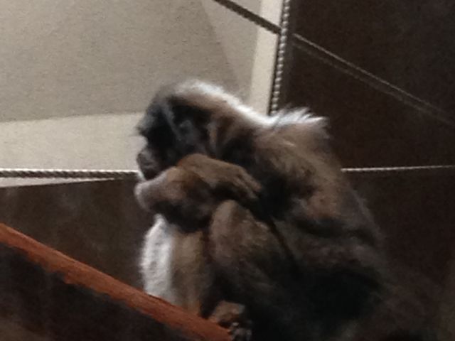 ����_�~�R������