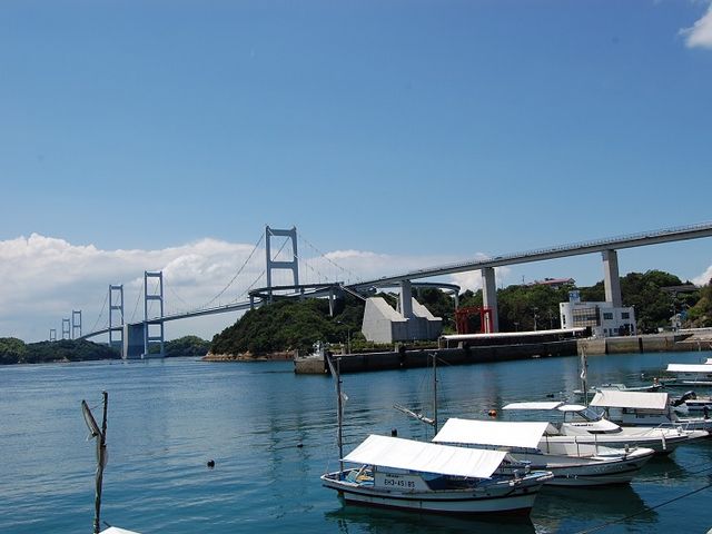 GɂȂ܂ˁB_˓܂Ȃ݊C