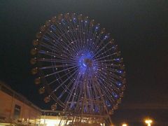 ̂˖т̃O[ie{X OiVAւ̓eʐ^1