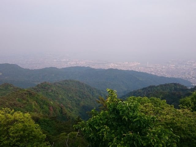 ���i�ł��B_�Z�b�R