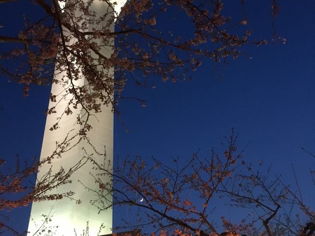 ���͂܂����ꂩ��ł���_�ܗŊs����