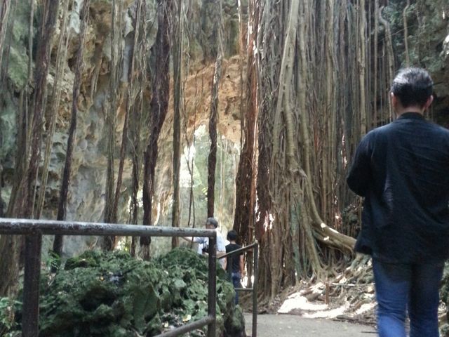 �����͕����₷���Ȃ��Ă��܂��B_�K���K���[�̒J