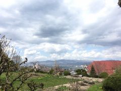 ���كn���X�g�X������̎ʐ^2