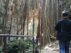 momõKK[̒Jւ̓eʐ^3