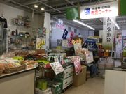 panchan̓̉w xm̓eʐ^5