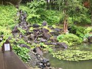 �}�C�a�n�n����̊֋����̓��e�ʐ^1