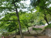 moomȋ펛(mRs)̓eʐ^3