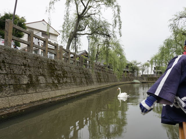 J͉̓̉t܂B
_]˂M߂