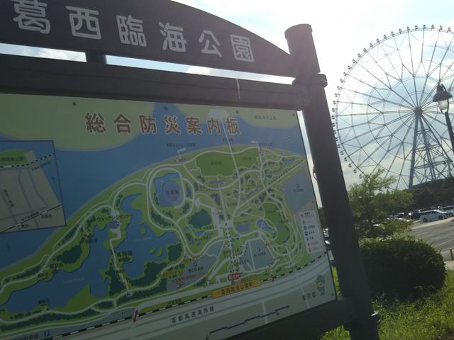 �_�C���ƉԂ̑�ϗ���