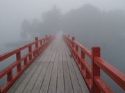 bq񂳂̐ԏ_ЁiΔȁj̓eʐ^4