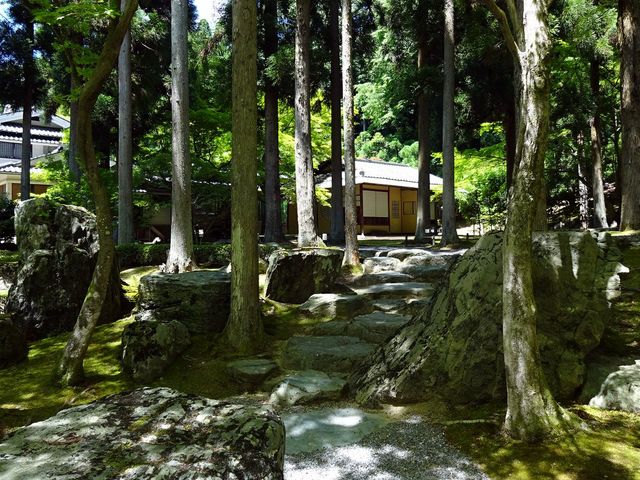 ���傤����뉀_���傤����뉀