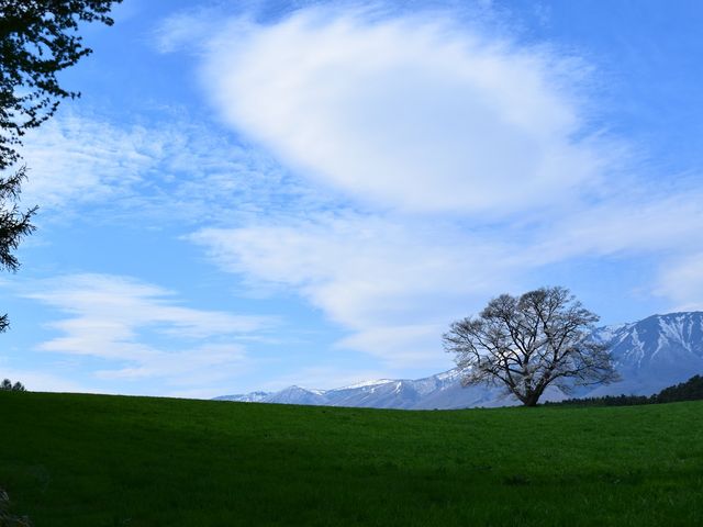 ���Ƌ�Ɖ__�����_��̈�{��