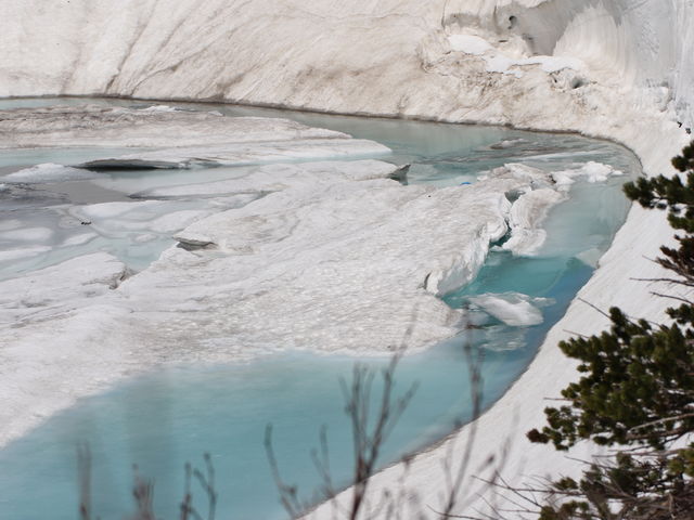 ��Ɛ���_�݂��肪�r