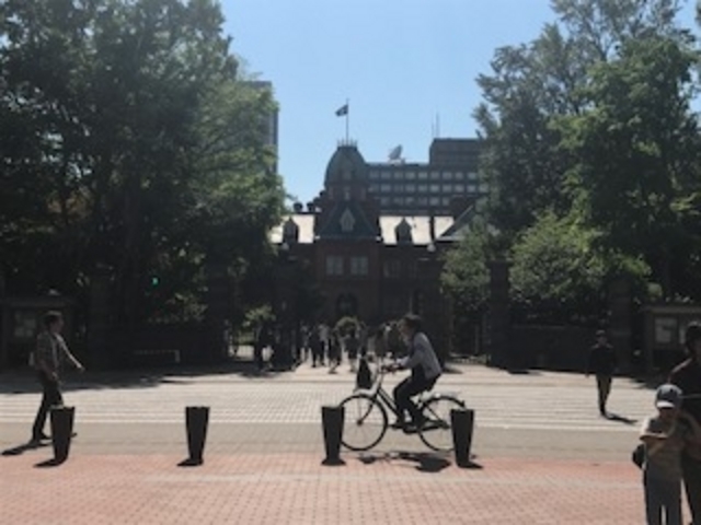 �O�̓�����B�e_�k�C�������{����(�Ԃ�񂪒���)