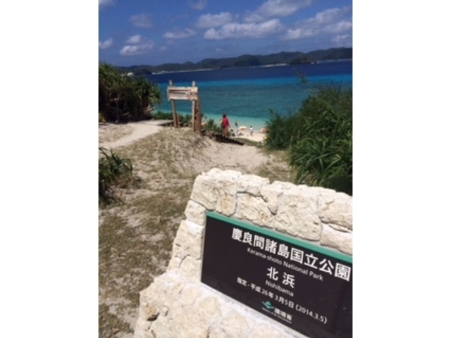 �k�l�r�[�`_���Ó�