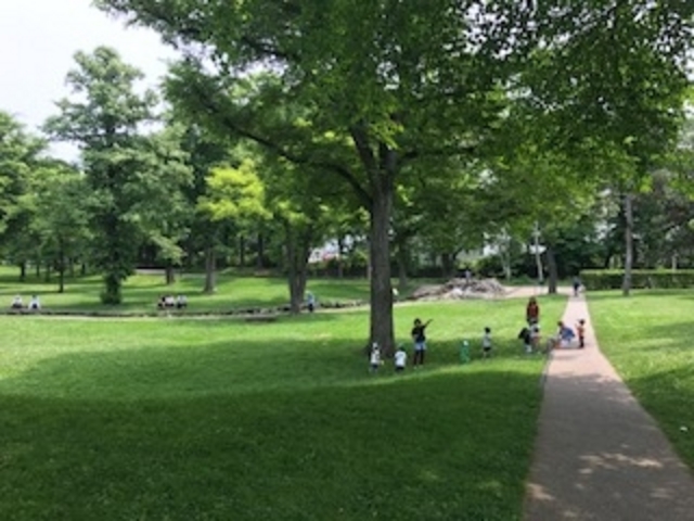 �L�����p�X���̍L��_�k��C�`���E����