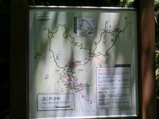 �}�b�v_�ےË�