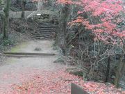 ڂ肳̋TRi啪csj̓eʐ^2