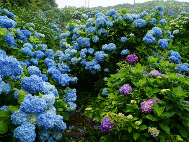 J`̑쌴qgbvnEX̓eʐ^3