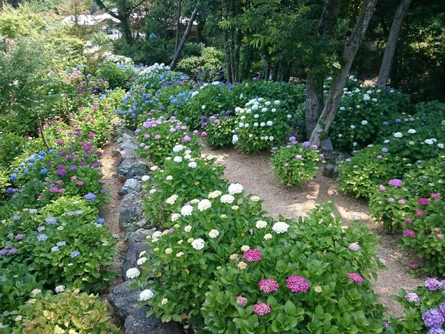 񂿂񂳂̏ږiƂ́jnEn̓eʐ^1