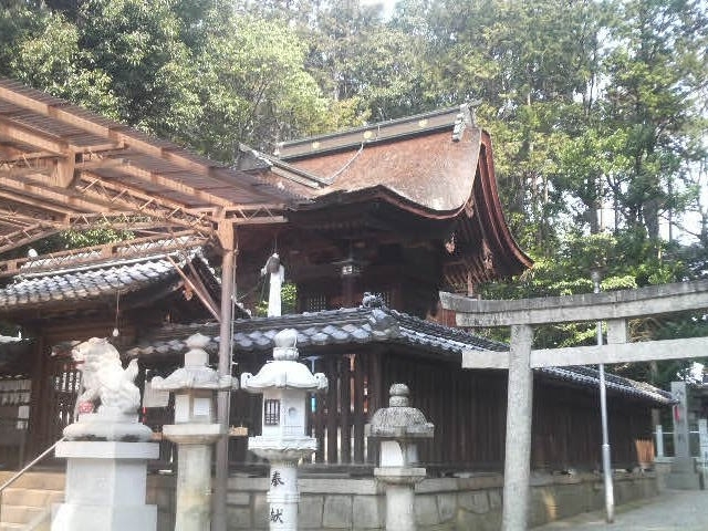 ���Ƃ��񂳂�̐V�{�_�Ђ̓��e�ʐ^4