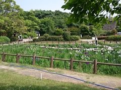 ���񂿂�񂳂�̋{�n�Ԑ_�Ж��Ƒ����R�L���ւ̓��e�ʐ^1