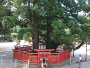 ���񂿂�񂳂�̈����̓��e�ʐ^1