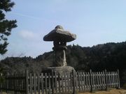 Ƃ񂳂̖lu铕̓eʐ^1