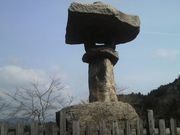 Ƃ񂳂̖lu铕̓eʐ^3