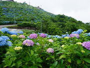 J`̑쌴qgbvnEX̓eʐ^1