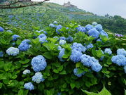 J`̑쌴qgbvnEX̓eʐ^2