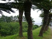 񂿂񂳂̋xɑu꓇̓eʐ^1