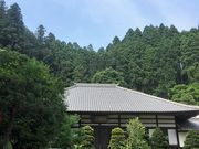 �M�O�X����̖������̓��e�ʐ^1