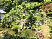 �M�O�X����̖������̓��e�ʐ^1