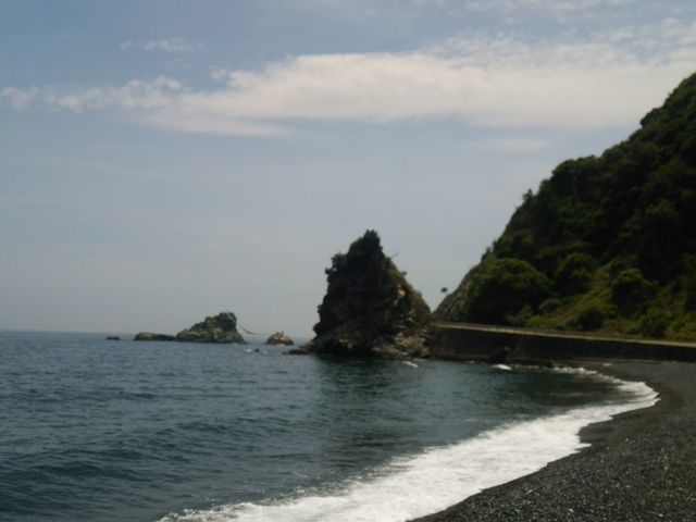 �����ʍ����ɔ��g�B�~��Ă݂�ƕ����ɂ���_�����l