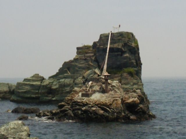 ���ʒ���̒����ɒ�������_�����l