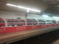 Ƃ񂳂̏c}dSւ̓eʐ^1