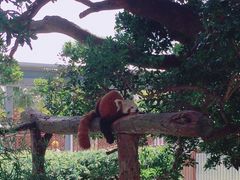 XC[g񂳂̔Moiijւ̓eʐ^1