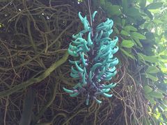 XC[g񂳂̔Moiijւ̓eʐ^3