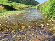 ɂ؂̓cÑoCJi~ԑj̓eʐ^2