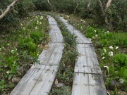 ibokorori̒̒rR̐mԂ̓eʐ^2