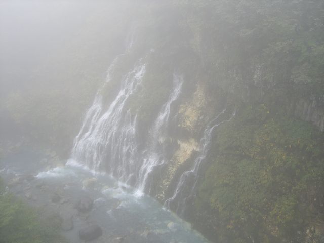 ���Ŗ����������Ă��܂���_���Ђ��̑�